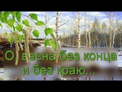 050323
